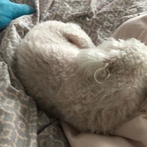 Meet your Posher, Tabatha